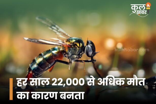 डेंगू किस मच्छर के काटने से होता है?